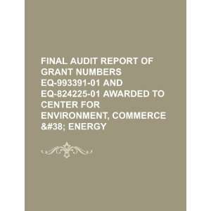 Final audit report of grant numbers EQ 993391 01 and EQ 
