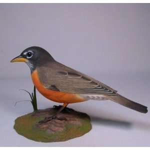  Backyard Bird Carving American Robin: Everything Else