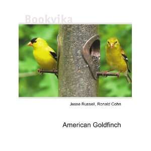  American Goldfinch Ronald Cohn Jesse Russell Books