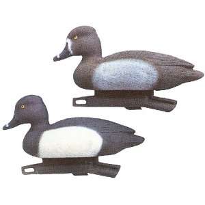   13 Standard Weighted Keel Ringneck Duck Decoys: Sports & Outdoors