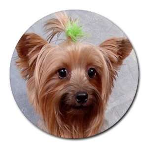 cairn terrier 4 Round Mousepad BB0680