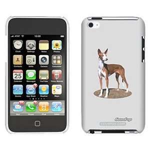  Ibizan Hound on iPod Touch 4 Gumdrop Air Shell Case 