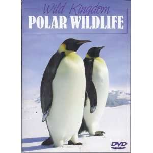  BBC Wild Kingdom Polar Wildlife DVD 