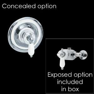Beaumont Single Control Thermostatic Shower Valve Concealed or Exposed