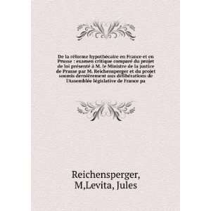  lÃ©gislative de France pa M,Levita, Jules Reichensperger Books