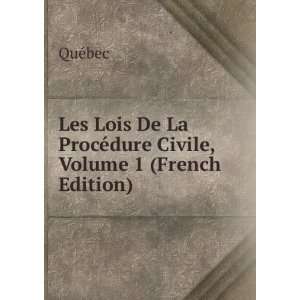  Les Lois De La ProcÃ©dure Civile, Volume 1 (French 