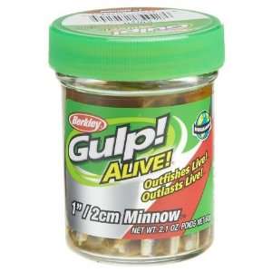  Academy Sports Berkley Gulp! Alive! 1 Minnow Jar: Sports 