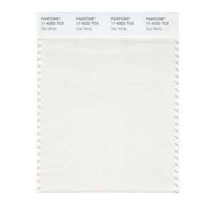  PANTONE SMART 11 4202X Color Swatch Card, Star White