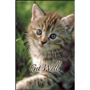   (Cat) Giftable Greeting Card (Heart Steps #1678 0)