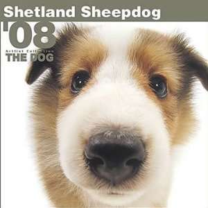  Shetland Sheepdogs 2008 Calendar: Office Products