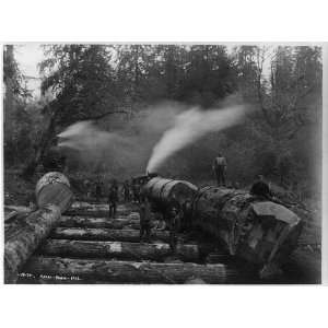  Steam logging,lumber industry,railroad locomotives,trees 
