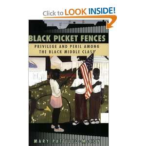 Black Picket Fences  Privilege and Peril Among the Black Middle Class 