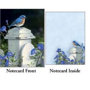  Bluebirds & Morning Glories   Legacy Boxed Note Cards 