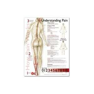    Understanding Pain Anatomical Chart: Health & Personal Care