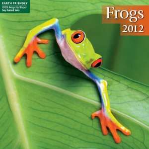 Frogs 2012 Mini Wall Calendar: Office Products