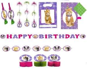 NEW! Cat Kitten Purple Pink Birthday Party Decorations + FREE US 