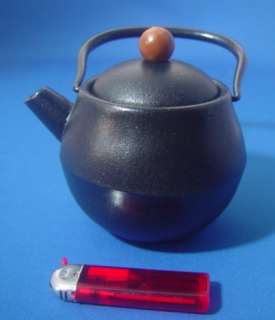 Cast Iron Tea Pot  