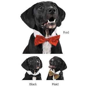 Dog Bow Tie   Large Plaid:  Kitchen & Dining