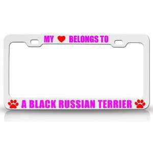  MY HEART BELONGS TO A BLACK RUSSIAN TERRIER Dog Pet Steel 