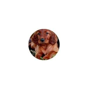 irish setter Puppy Dog 5 1in Button C0692: Everything Else
