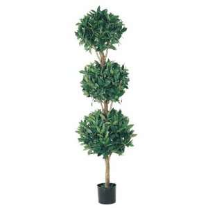 5 Triple Ball Sweet Bay Topiary: Home & Kitchen