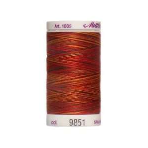  Mettler Silk Finish Cotton Thread Multi 500 yd 9851 (5 
