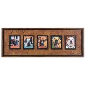  Uttermost Colorful Dogs Wall Art: Kitchen & Dining