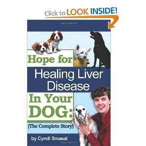  Hope For Healing Liver Disease In Your Dog The Complete 