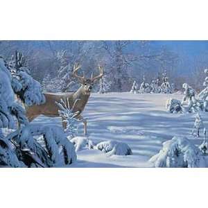  Scot Storm   Somethings in the Air   Whitetailed Deer 
