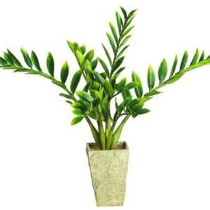  Nearly Natural Zamioculcas w/Vase Silk Plant: Home 