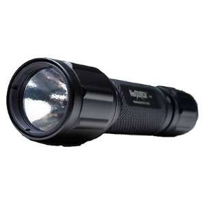   )   2xNT123 80 Lumen Light Hunting Flashlight Set 