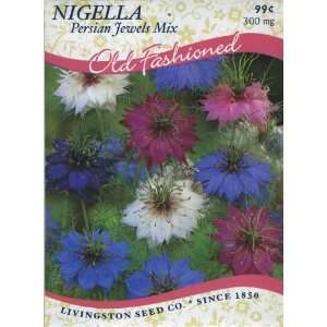  Nigella   Persian Jewels Mix Patio, Lawn & Garden