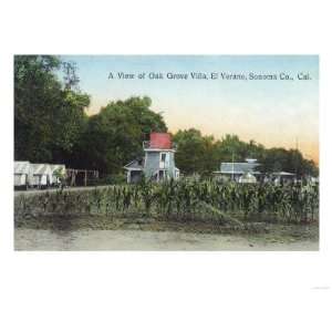  Oak Grove Villa Scene   El Verano, CA Giclee Poster Print 