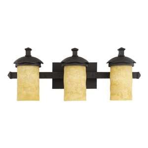  Quoizel Lighting, La Parra Bathroom Light, LP8603IB: Home 