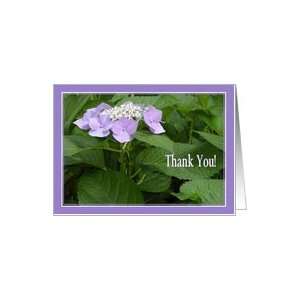 Hydrangea   Sister Thank You for Caring for Older Parents!   Thank You 