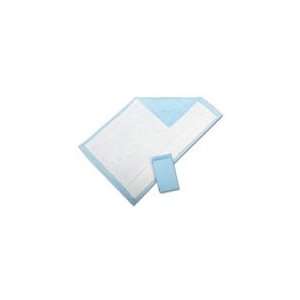  Disposable Underpads, 17x24in (Case of 300): Health & Personal Care