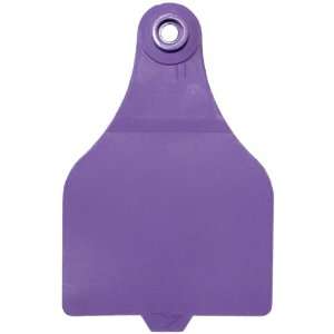   Large Extended Panel Blank Cattle ID Tags   25 ct Purple: Pet Supplies
