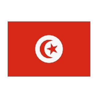  Tunisia Flag Nylon 4 ft. x 6 ft.
