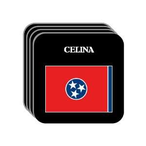 US State Flag   CELINA, Tennessee (TN) Set of 4 Mini Mousepad Coasters