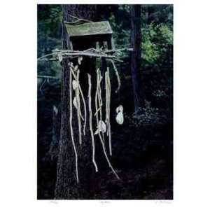  Dry Bones by Robert Pellelt, 14x20: Home & Kitchen