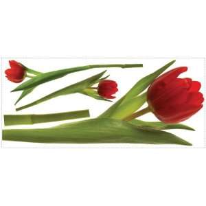   RMK1308GM Tulip Peel & Stick Giant Wall Decals: Home Improvement