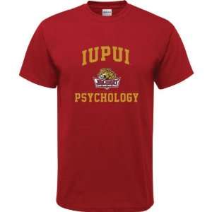  Jaguars Cardinal Red Youth Psychology Arch T Shirt: Sports & Outdoors