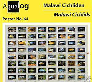 AQUALOG   Fold Poster Malawi Cichlids  