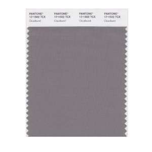  PANTONE SMART 17 1502X Color Swatch Card, Cloudburst: Home Improvement