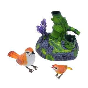   Assorted Color Singing Bird Pen Holder Desk Decoration: Toys & Games