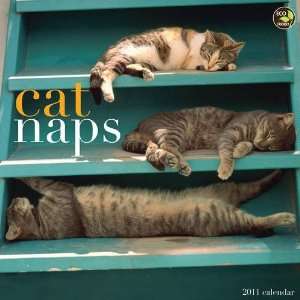  Cat Naps 2011 Wall Calendar