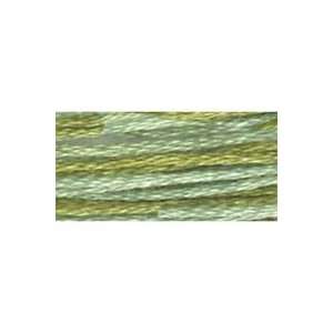  Embroidery Floss Meadow (5 Pack)