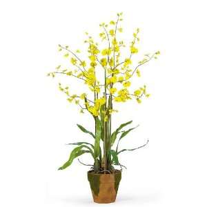  Dancing Lady Silk Orchid Arrangement w/Moss Pot: Home 