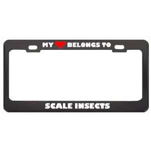 My Heart Belongs To Scale Insects Animals Metal License Plate Frame 