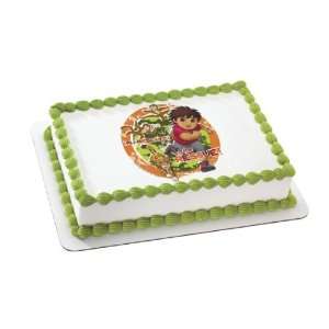  Go Diego Go Edible Cake Topper Decoration: Everything Else